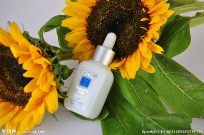 从专业摄影到生活美学 探索美容产品与服务摄影图库的魅力